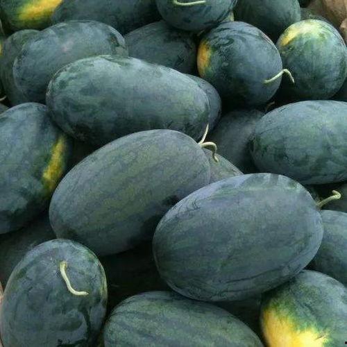 黑农工吃瓜,揭秘农村生活新风尚