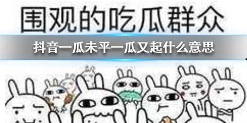 抖音吃瓜热门,揭秘网络红人背后的故事