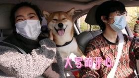 网红狗哥爆料吃瓜视频大全,吃瓜视频大全大放送！