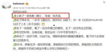明星网红评价怎么写,潮流趋势深度解析