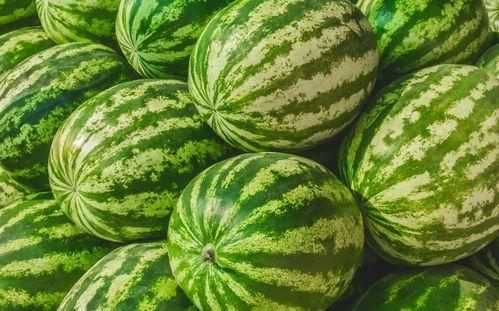 热门大瓜17吃瓜官方,17吃瓜官方独家爆料，带你领略娱乐圈风云变幻