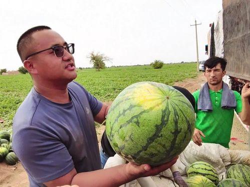 每日大赛一911爆料一吃瓜,吃瓜群众眼中的惊天秘密