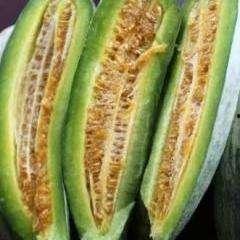 今日甜瓜价格淮南酥瓜,今日甜瓜市场的明星之选