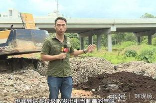 今日增城瓜岭新闻,瓜岭社区焕新颜，乡村振兴新篇章