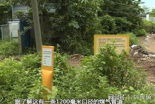 今日增城瓜岭新闻,瓜岭社区焕新颜，乡村振兴新篇章