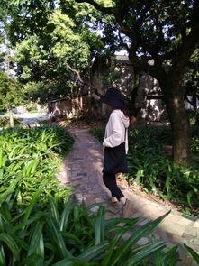 今日增城瓜岭新闻,瓜岭社区焕新颜，乡村振兴新篇章