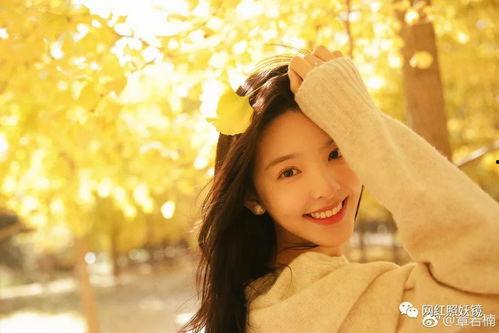 陈伟霆章若楠吃瓜爆料,娱乐圈幕后真相大揭秘