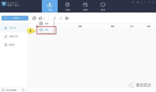 偷瓜的热门视频软件,揭秘网络热门现象背后的趣味与争议