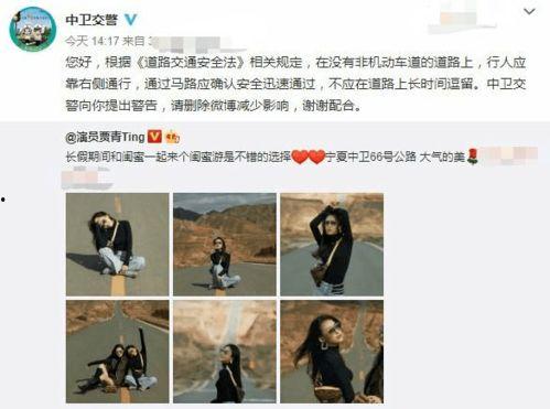 明星网红来河南打卡,探寻中原文化新风尚”