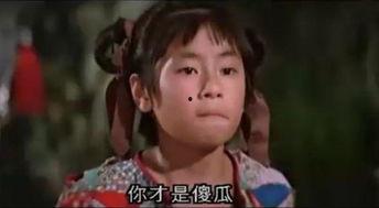 娱乐明星网红王杰,从音乐传奇到网红，揭秘他的跨界人生