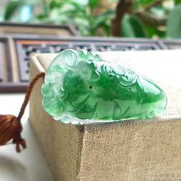 绿花福瓜今日价格,市场行情一览”