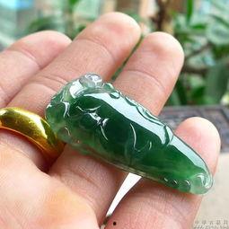 绿花福瓜今日价格,市场行情一览”