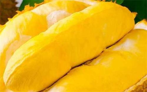 榴莲瓜园今日头条,揭秘热带水果王国里的奇珍异果传奇