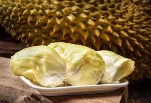 榴莲瓜园今日头条,揭秘热带水果王国里的奇珍异果传奇