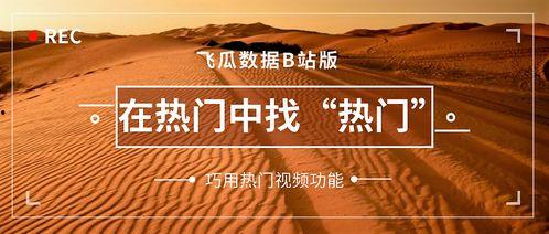 中瓜.中国热门视频,趣味横生，引人入胜