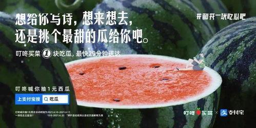 今日文案吃瓜少女,吃瓜少女生，她们的世界观与生活态度