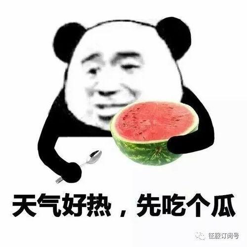 带你吃瓜黑科技,颠覆传统，开启智能娱乐新时代