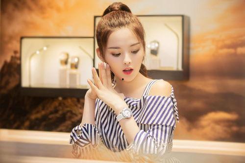 老白谈明星网红,明星网红背后的故事与真相