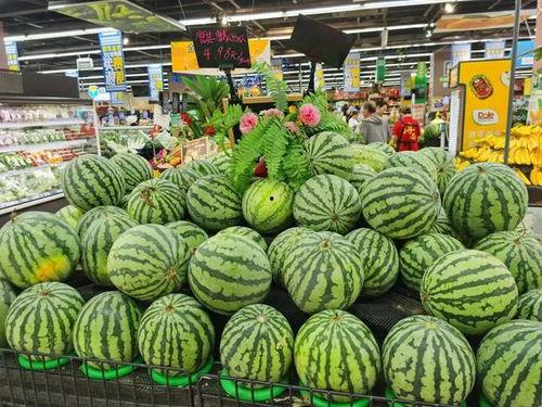 麒麟瓜价格今日行情最新,涨跌波动，市场动态解析