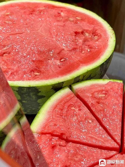 麒麟瓜价格今日行情最新,涨跌波动，市场动态解析