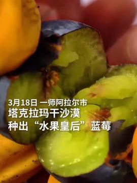 新疆蜜瓜今日头条,甜蜜滋味，尽在新疆！