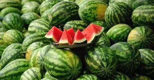 今日吃瓜必吃大瓜免费翰林府,免费翰林府，揭秘神秘豪宅背后的故事