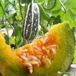 一周热门的吃瓜,盘点娱乐圈最新热点事件