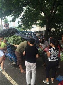 丰城市近期热门吃瓜事件,揭秘近期爆红事件背后的真相