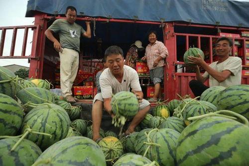 丰城市近期热门吃瓜事件,揭秘近期爆红事件背后的真相