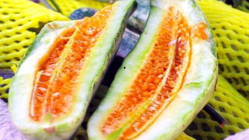 热门瓜密码,探寻网络热议背后的真相与奥秘