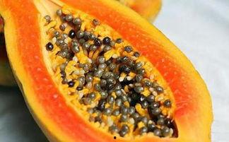 上热门吃瓜的季节是几月,揭秘热门瓜果的甜蜜诱惑