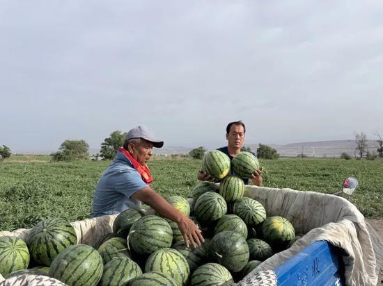 恩施热门大瓜23年,揭秘恩施年度十大焦点事件