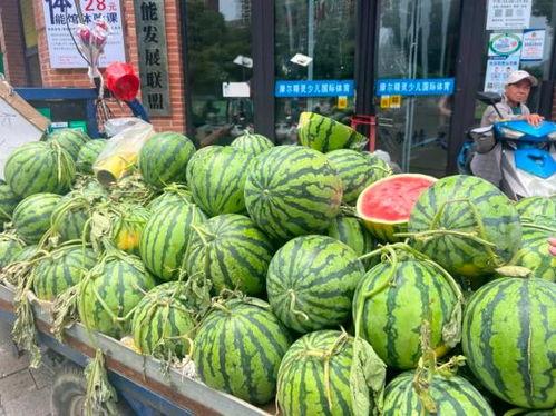 恩施热门大瓜23年,揭秘恩施年度十大焦点事件