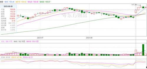飞瓜数据今日股价多少,探秘飞瓜数据股价动态