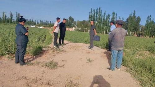 瓜州河东乡今日新闻,聚焦乡村振兴，共绘美好家园新画卷