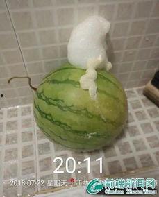 泡泡黑料吃瓜,吃瓜群众如何解读娱乐圈风云