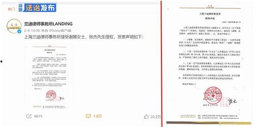 明星网红跳单是谁,背后真相与行业影响