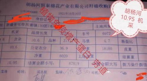 瓜州今日棉价行情走势,今日行情走势解析