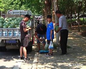 息县吃瓜群众爆料最新消息,吃瓜群众揭秘惊人内幕