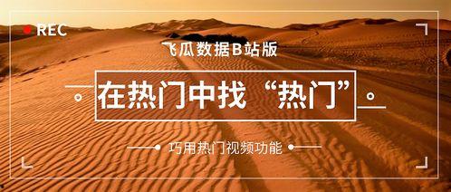 中瓜中国热门视频下载,揭秘中瓜中国热门视频下载秘籍