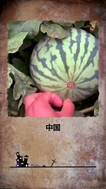 热门开瓜,真相与争议交织的焦点