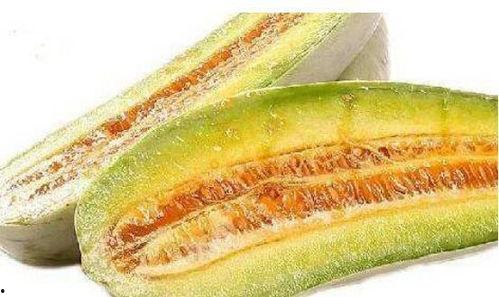 热门羊角瓜种子品种