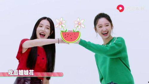 呆妹吃瓜爆料视频大全下载,揭秘娱乐圈幕后真相