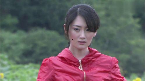 媒体明星网红推荐什么,热门产品大盘点！