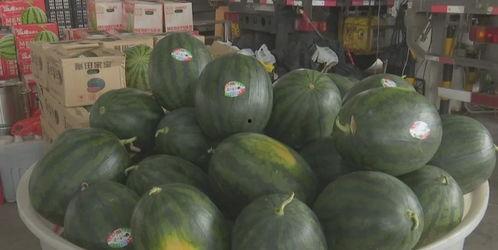 近期热门吃瓜跳舞