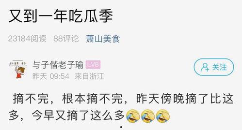 今日份摘瓜完成的说说,趣味说说背后的生活点滴