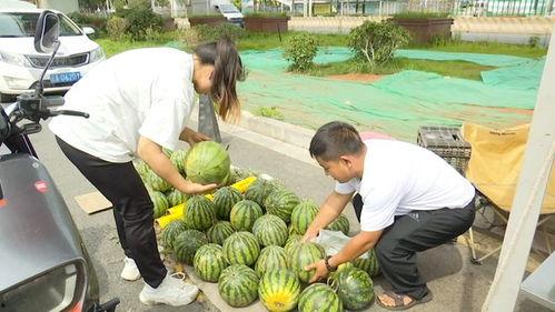 黑吃瓜爆料,揭秘娱乐圈背后的惊人真相