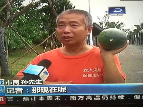 热门吃瓜事件汇总图,揭秘娱乐圈风云变幻