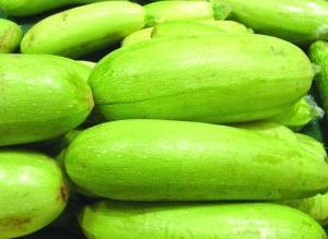 手瓜摄影热门作品,手瓜摄影的视觉盛宴