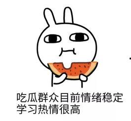 娱乐圈吃瓜二人是谁,揭秘娱乐圈背后的神秘故事